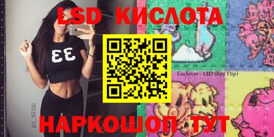 молекула духа Камышлов