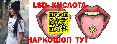 молекула духа Камышлов