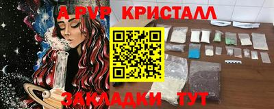 молекула духа Камышлов