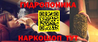 молекула духа Камышлов