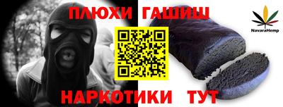 гашик Кандалакша