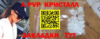 молекула духа Камышлов