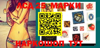 молекула духа Камышлов