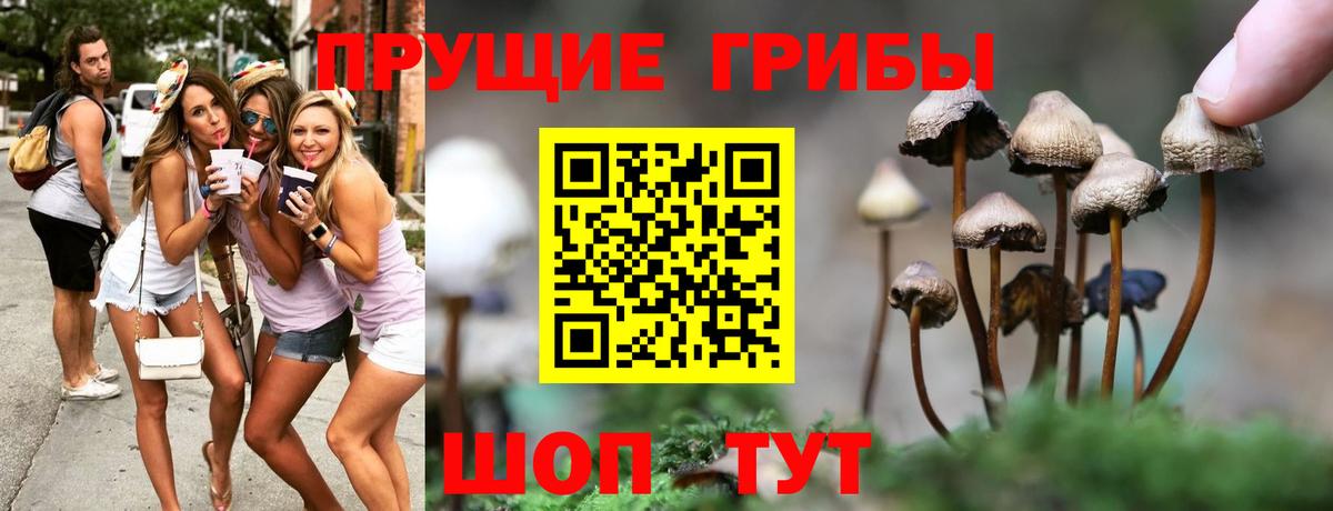 Люберцы  Галлюциногенные грибы Magic Shrooms  Вход с VPN 